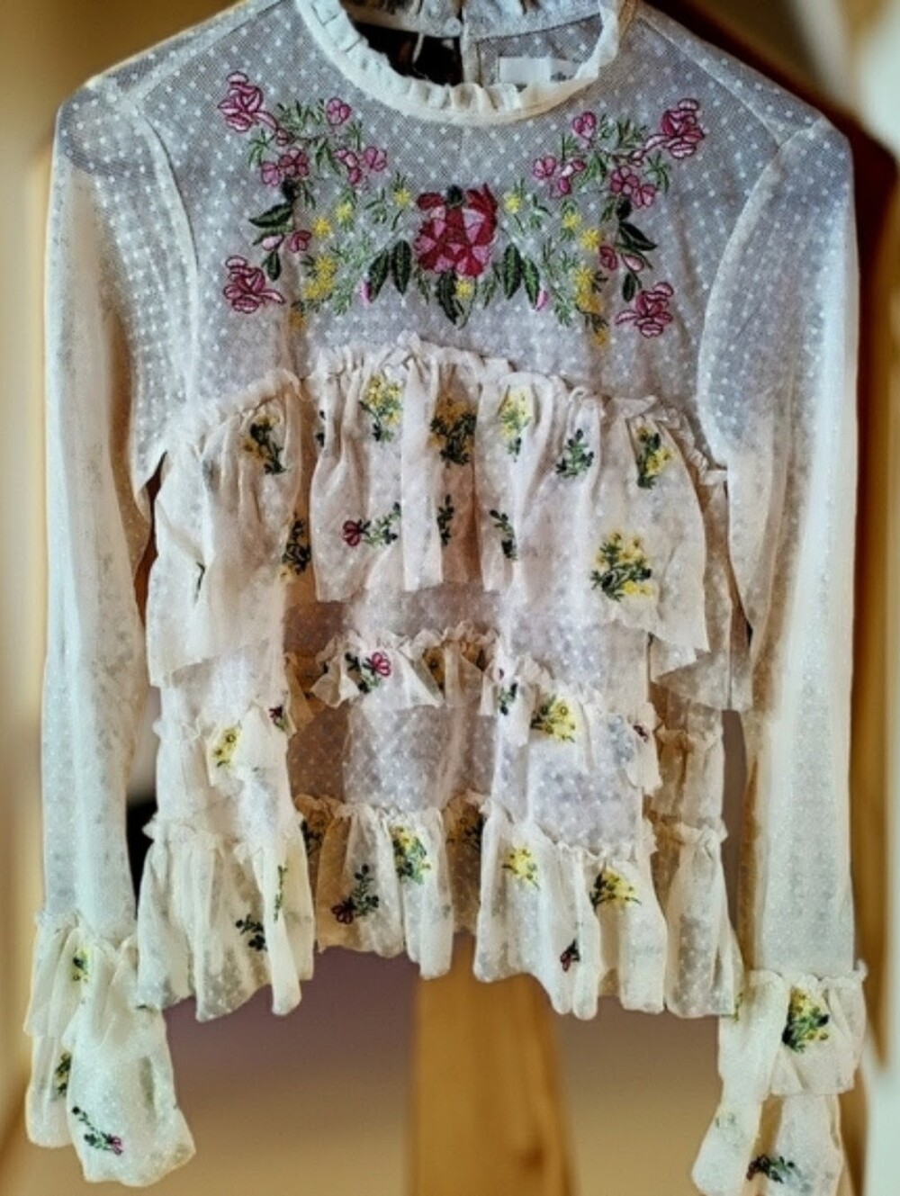 Jella C. Sheer Ruffle Embroidered Long Sleeve Top